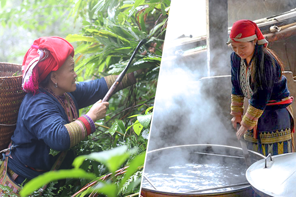 BẢN CHẤT CỦA TẮM LÁ THUỐC TRONG ĐIỀU TRỊ VẢY NẾN ? | Dược Thảo Linh - Khoa học thảo dược