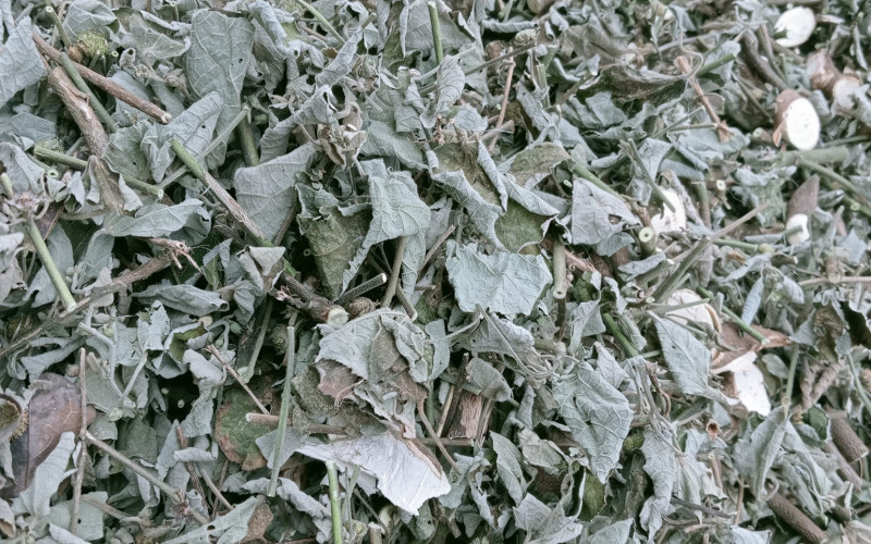 KÉ HOA ĐÀO - 1KG KHÔ | Dược Thảo Linh - Khoa học thảo dược