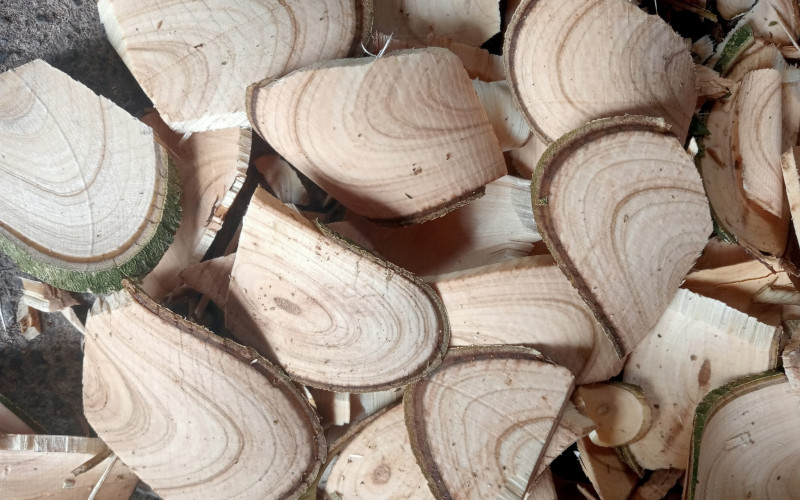 KIM SƯƠNG - 1KG KHÔ | Dược Thảo Linh - Khoa học thảo dược