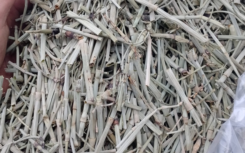 CỎ THÁP BÚT - 1KG KHÔ | Dược Thảo Linh - Khoa học thảo dược