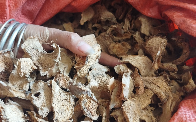 CÁT LỒI - 1KG KHÔ | Dược Thảo Linh - Khoa học thảo dược
