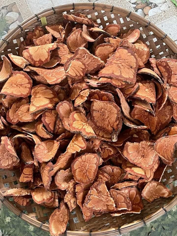 MÓNG BÒ - 1KG KHÔ | Dược Thảo Linh - Khoa học thảo dược