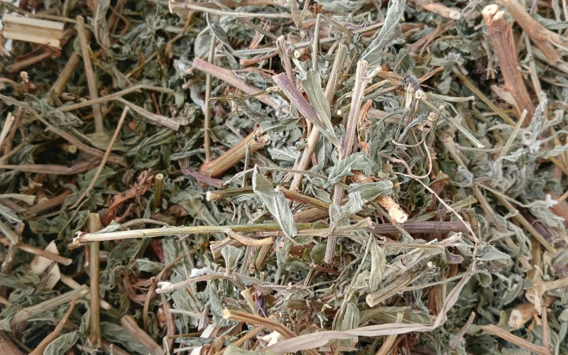 RAU MƯƠNG - 1KG KHÔ | Dược Thảo Linh - Khoa học thảo dược