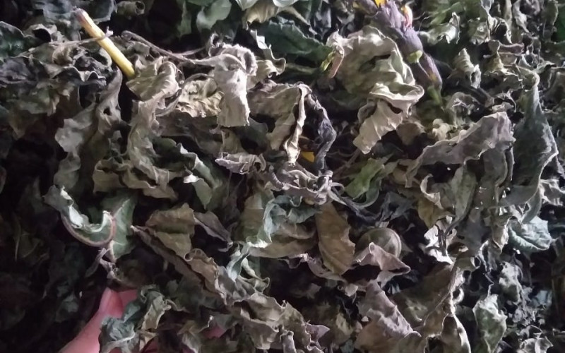 KHÔI ĐỐM - 1KG KHÔ | Dược Thảo Linh - Khoa học thảo dược