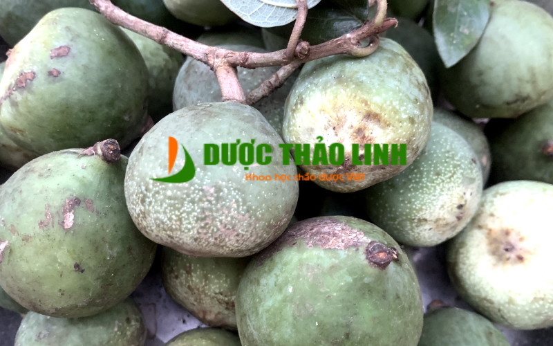 QUẢ TRÂU CỔ - 1kg | Dược Thảo Linh - Khoa học thảo dược