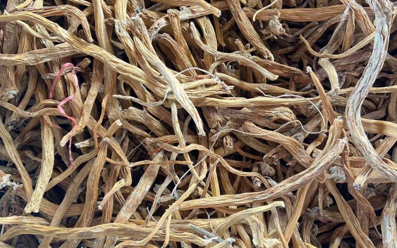 BÁCH BỘ - 1KG KHÔ | Dược Thảo Linh - Khoa học thảo dược