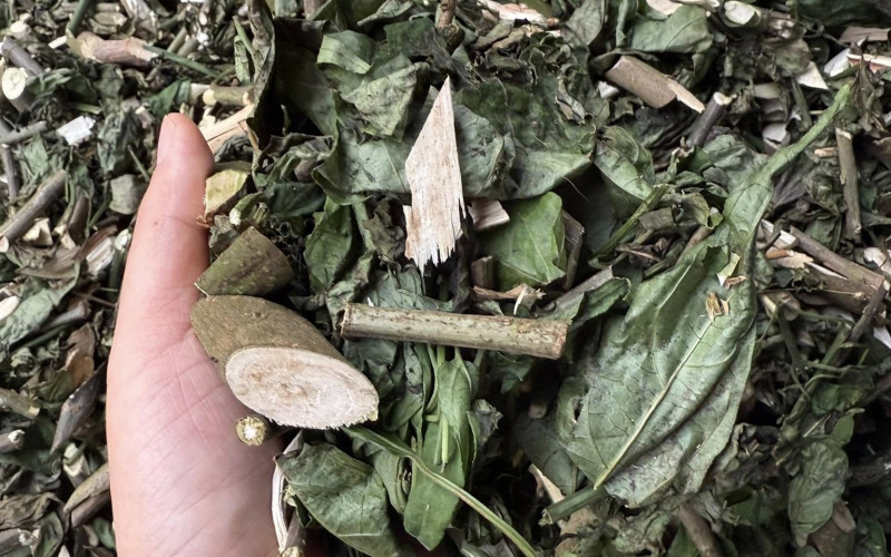 BỌ MẨY - 1KG KHÔ | Dược Thảo Linh - Khoa học thảo dược
