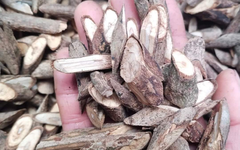 BƯỚM BẠC - 1KG KHÔ | Dược Thảo Linh - Khoa học thảo dược