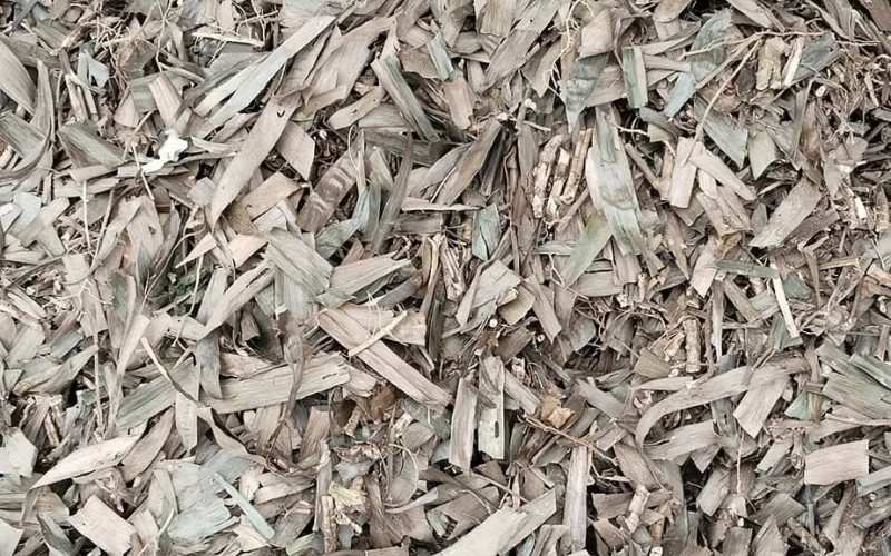 CAO CẲNG - 1KG KHÔ | Dược Thảo Linh - Khoa học thảo dược