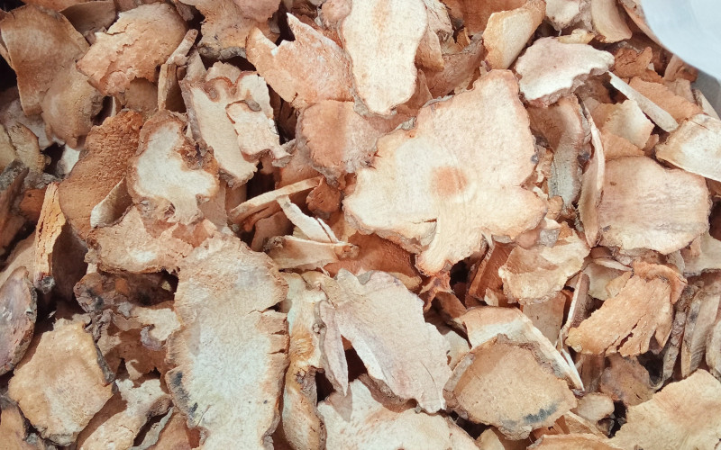 THỔ PHỤC LINH - 1KG KHÔ | Dược Thảo Linh - Khoa học thảo dược