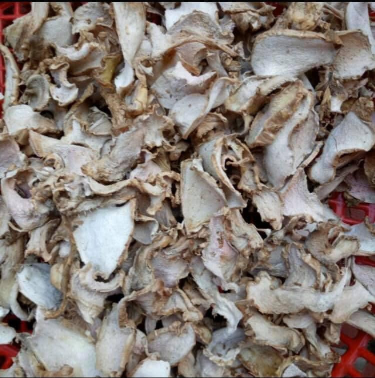 GỪNG GIÓ- 1KG KHÔ | Dược Thảo Linh - Khoa học thảo dược